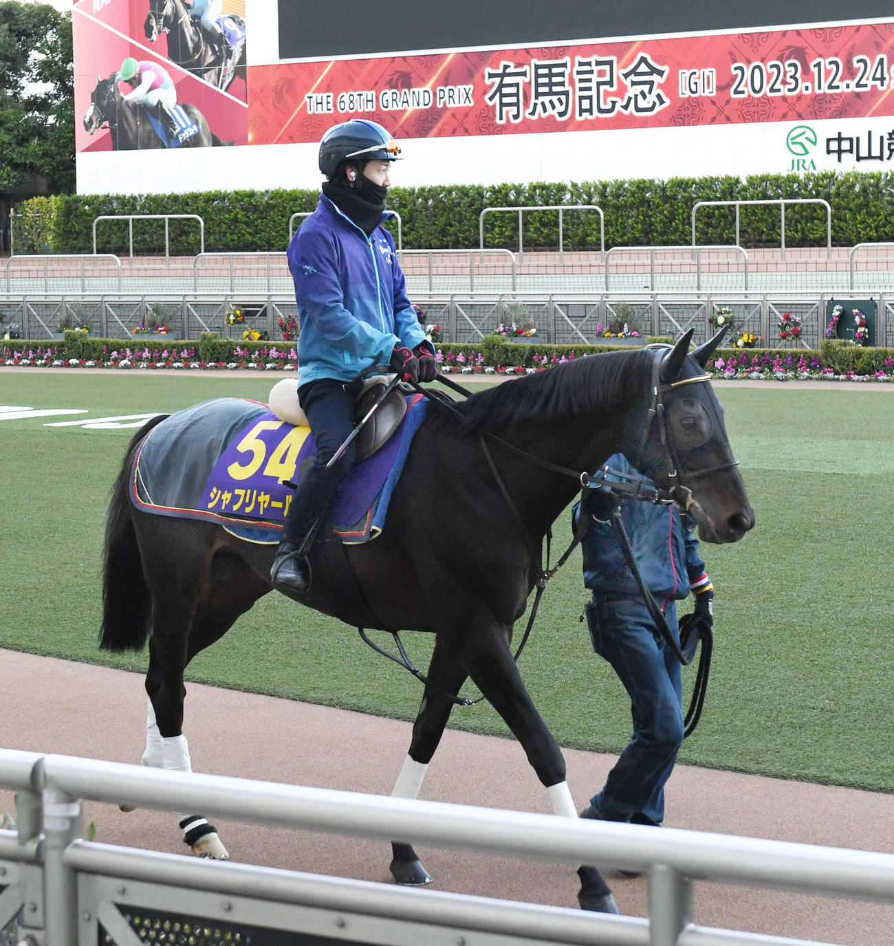 21日、中山競馬場のパドックでスクーリングするシャフリヤールと松山騎手