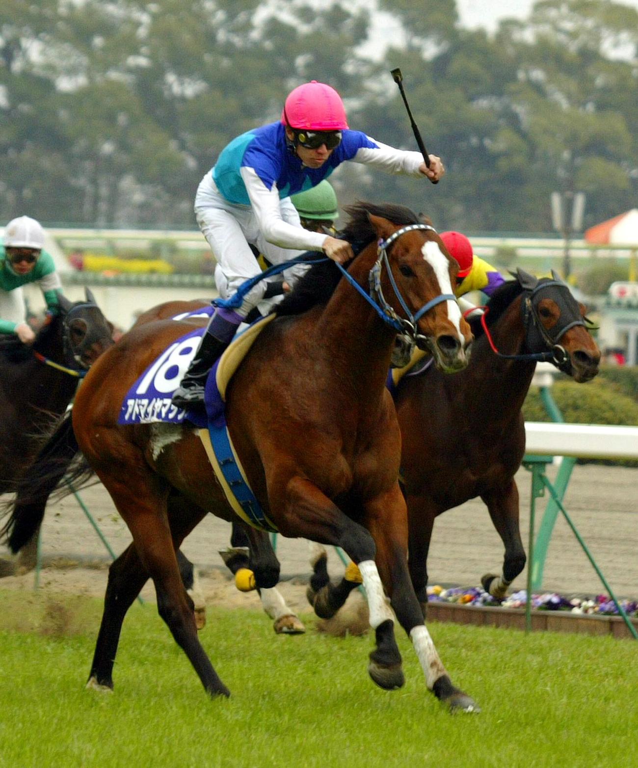 05年、高松宮記念を制したアドマイヤマックス。鞍上の武豊騎手も大喜びでムチを振りかざす