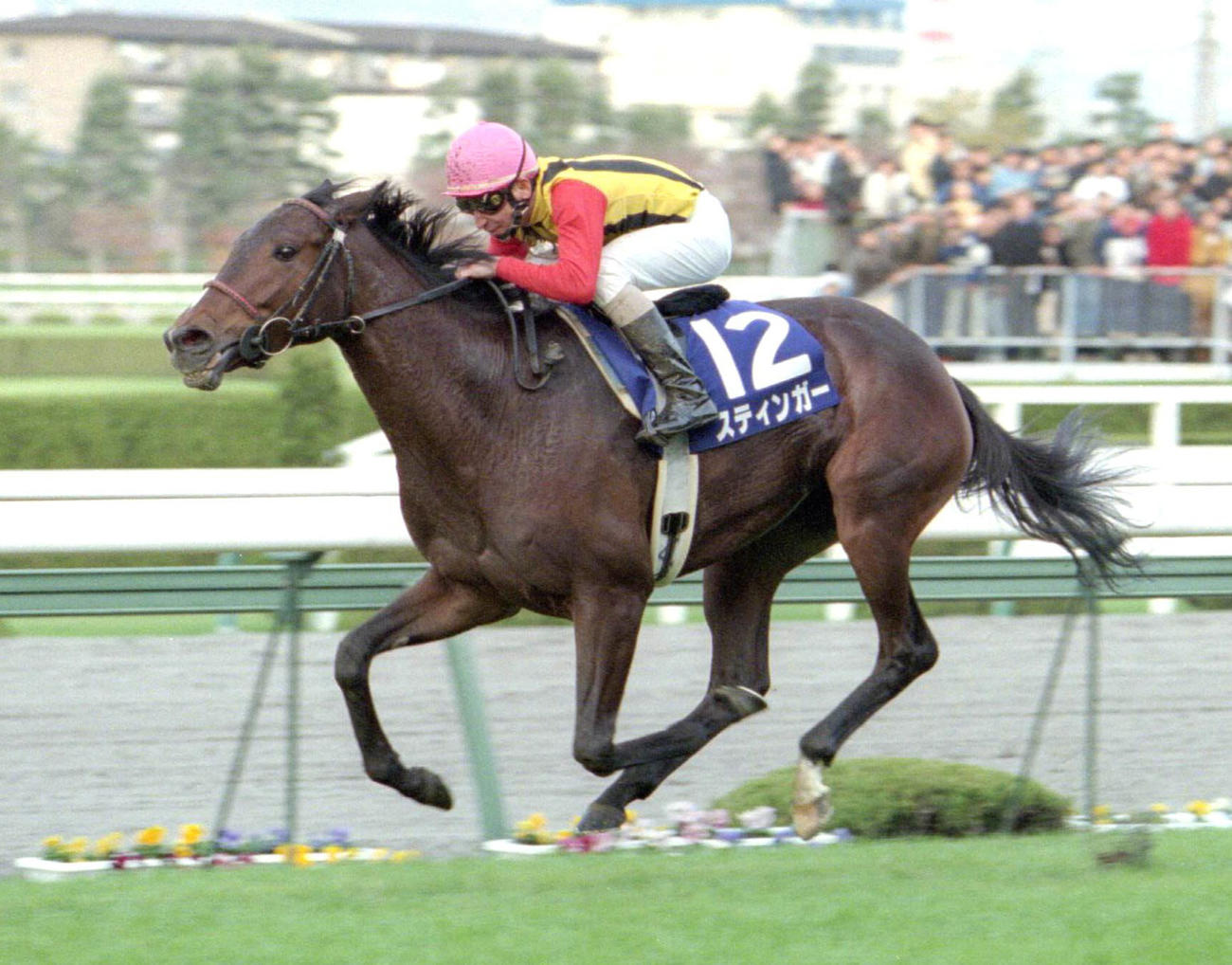 98年、阪神3歳牝馬ステークスを制したスティンガー