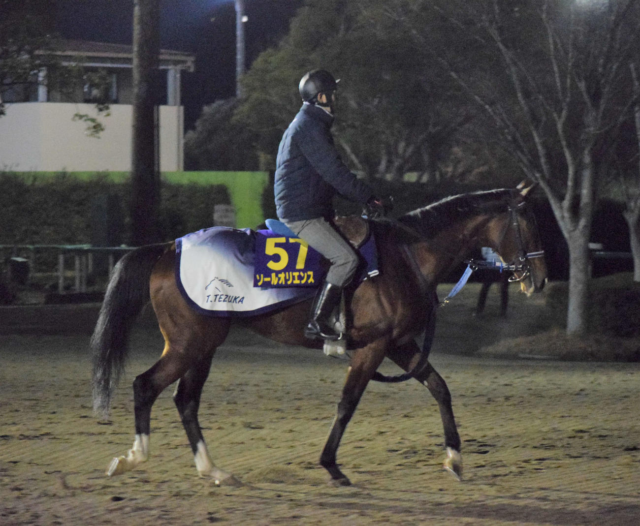 有馬記念に出走するソールオリエンス（撮影・桑原幹久）