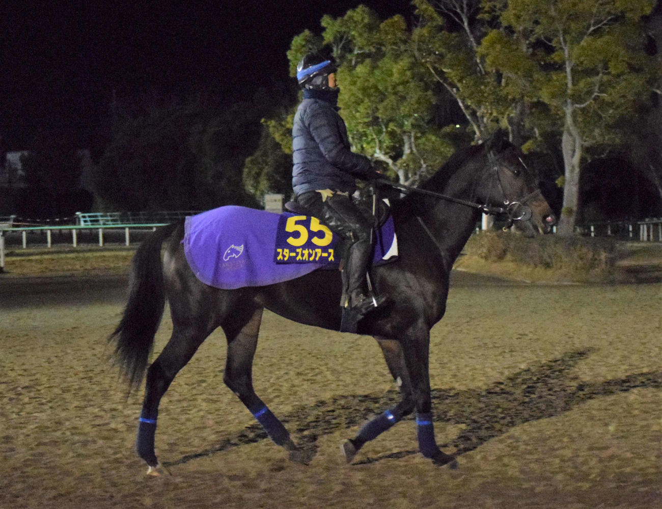 有馬記念に出走するスターズオンアース（撮影・桑原幹久）