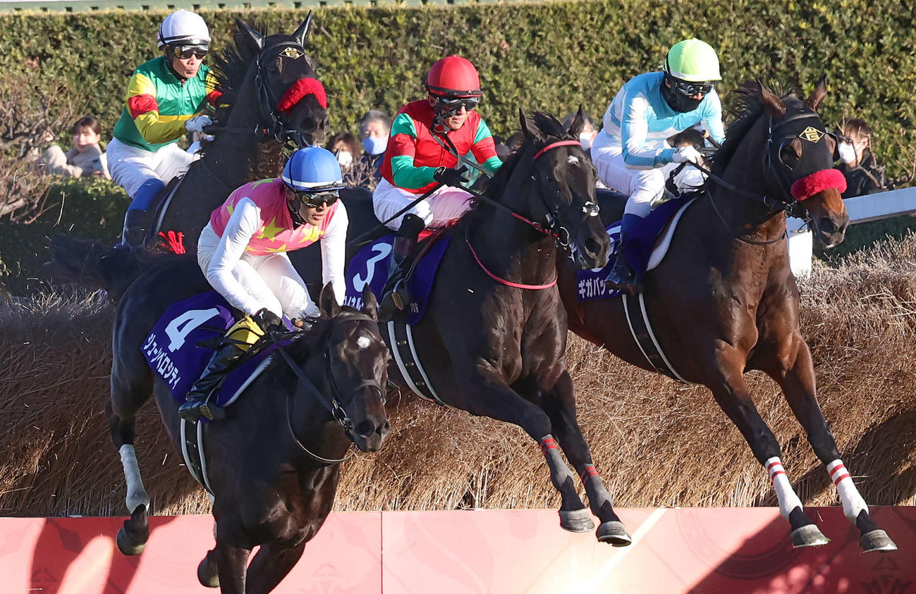 中山10R、中山大障害を制したマイネルグロンと石神騎手（中央）（撮影・丹羽敏通）