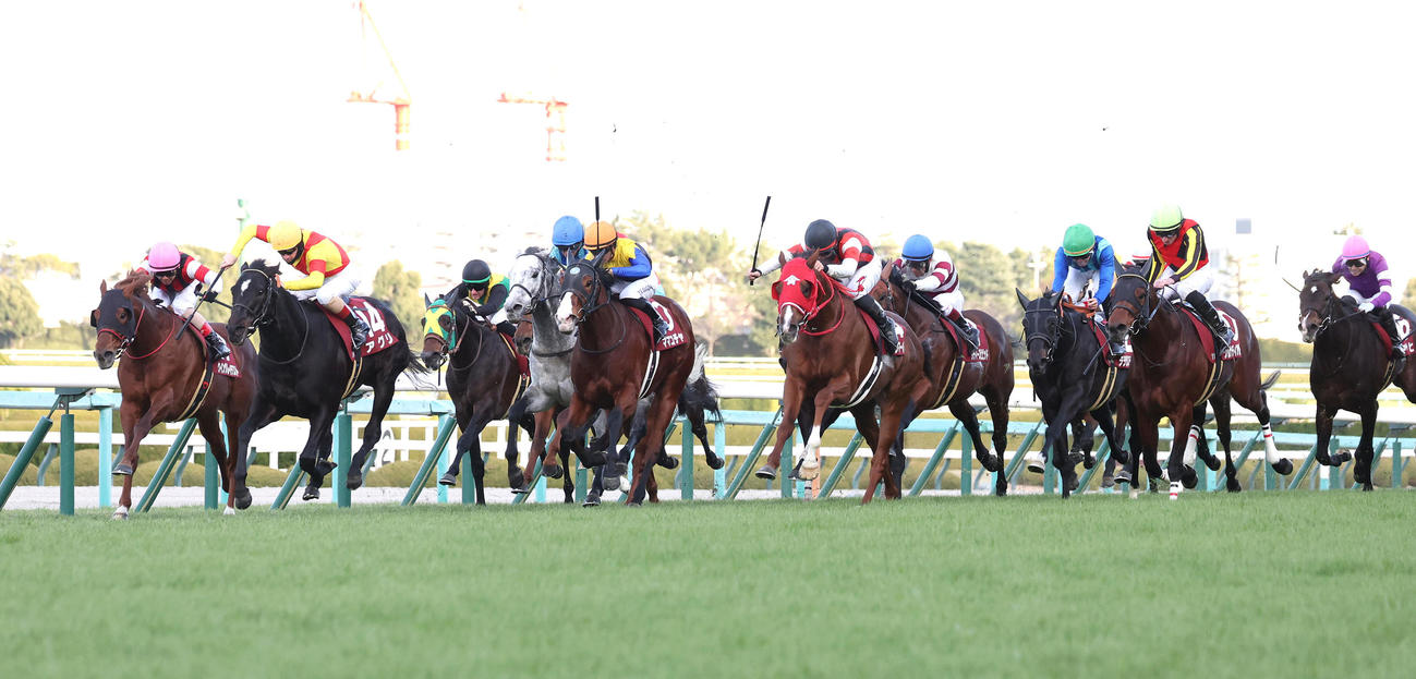 阪神11R、直線外から伸びて阪神Cを制したウインマーベル（右から5頭目）（撮影・白石智彦）