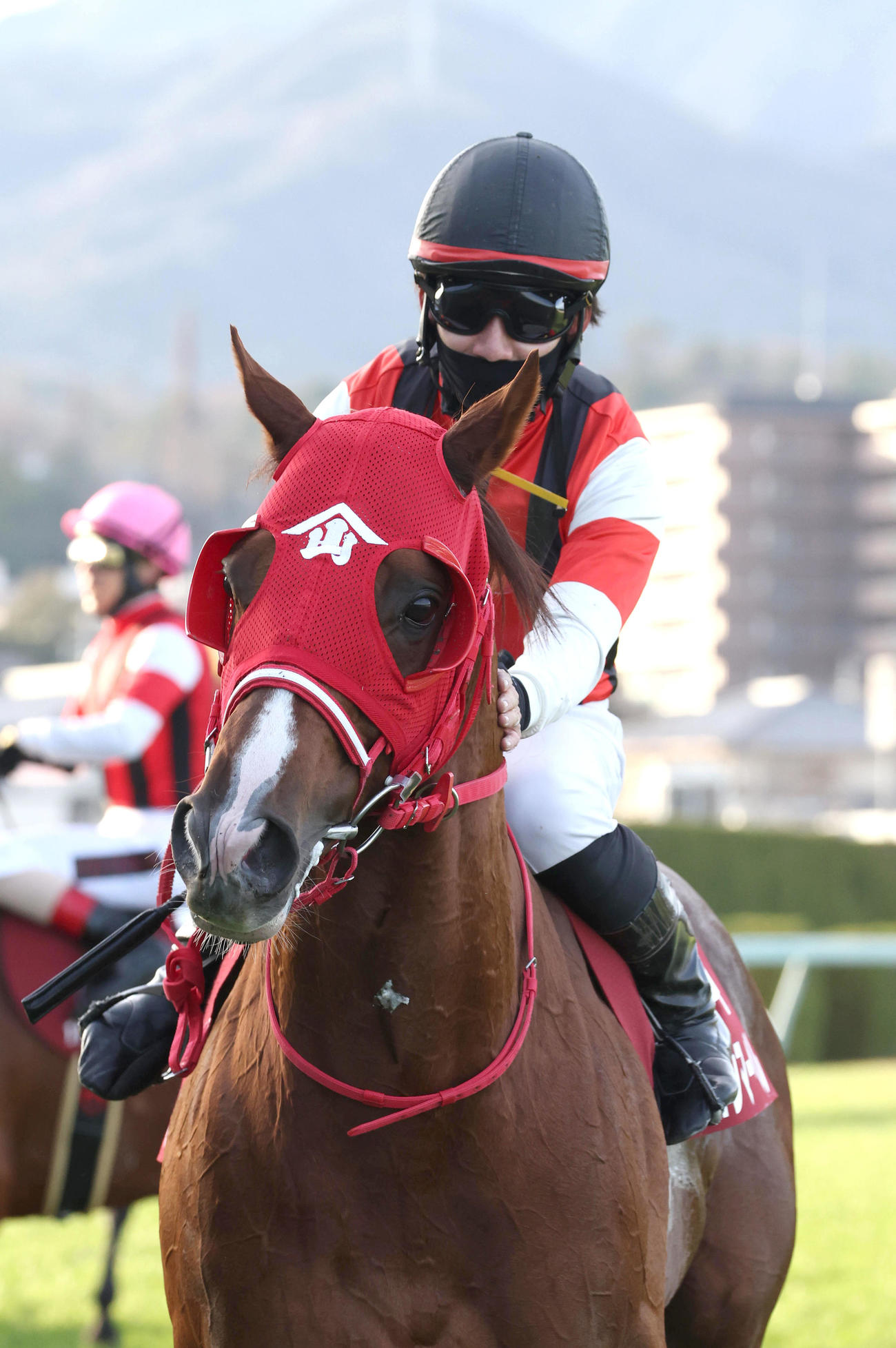阪神Cを制したウインマーベルをねぎらう松山騎手（撮影・白石智彦）
