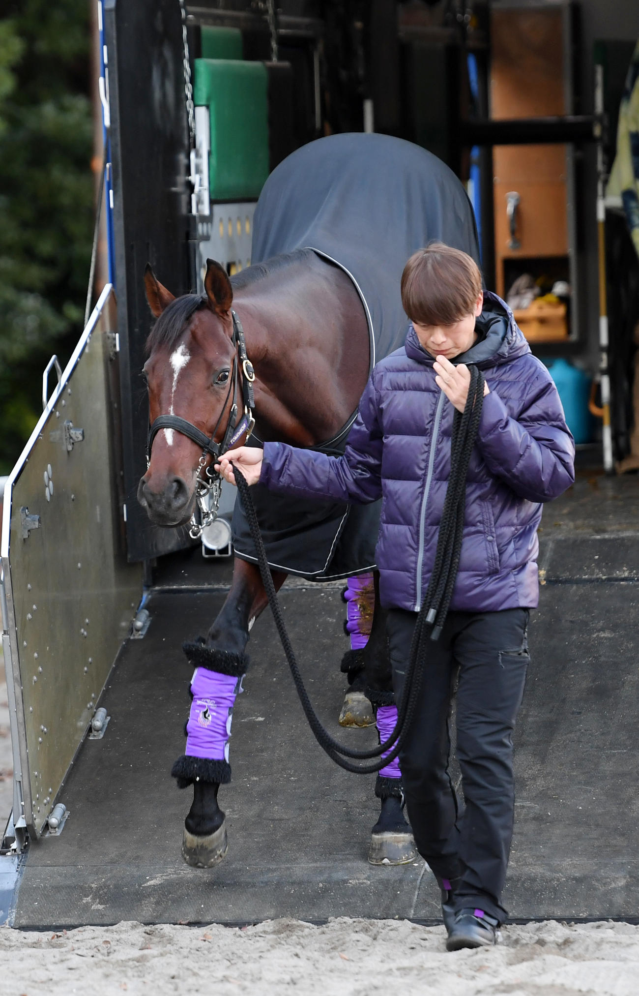 中山競馬場に到着したドウデュース（撮影・柴田隆二）