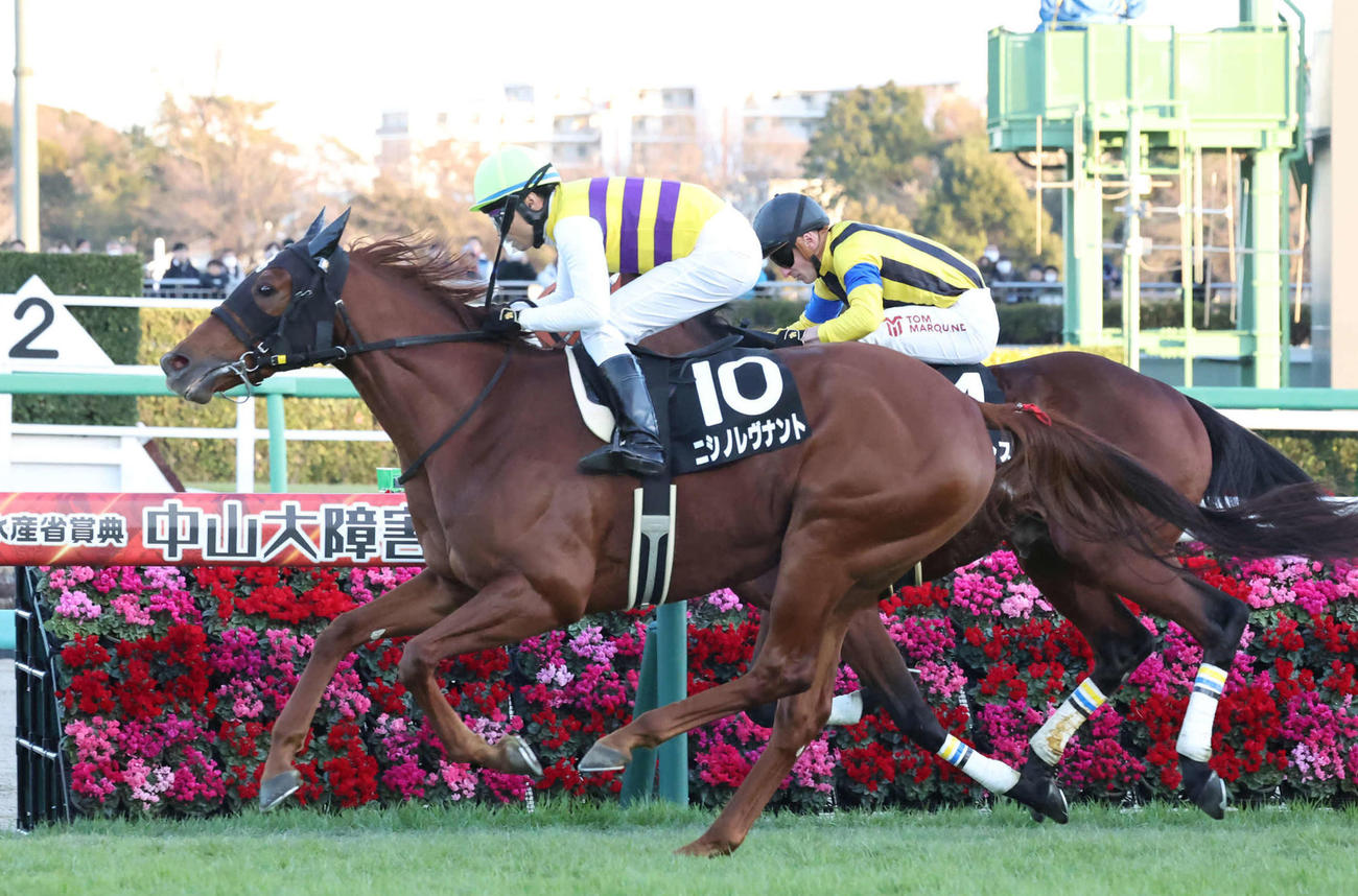 グレイトフルSを制したニシノレヴナントと大野騎手（撮影・丹羽敏通）