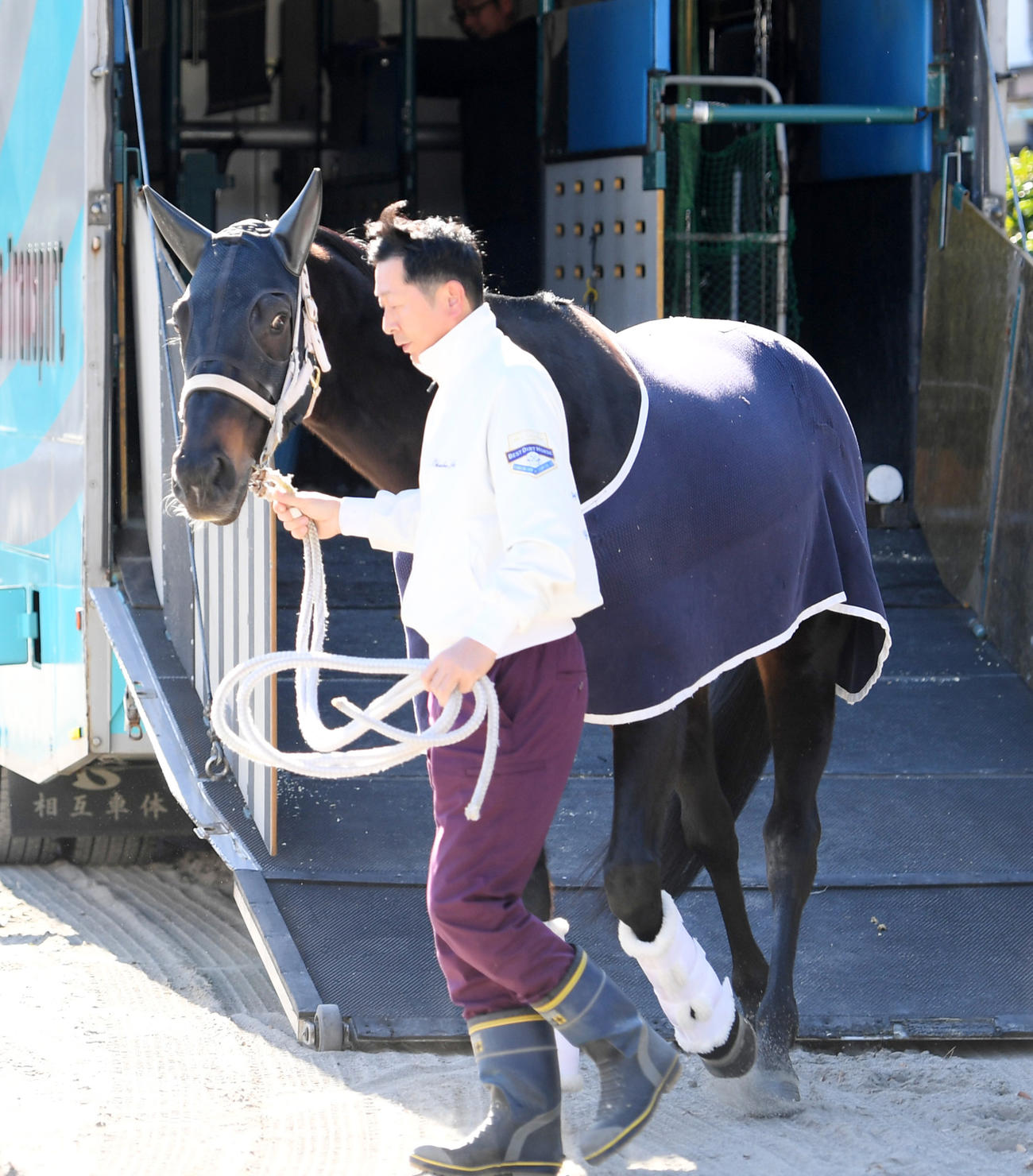 馬運車から降りるディープボンド（撮影・柴田隆二）