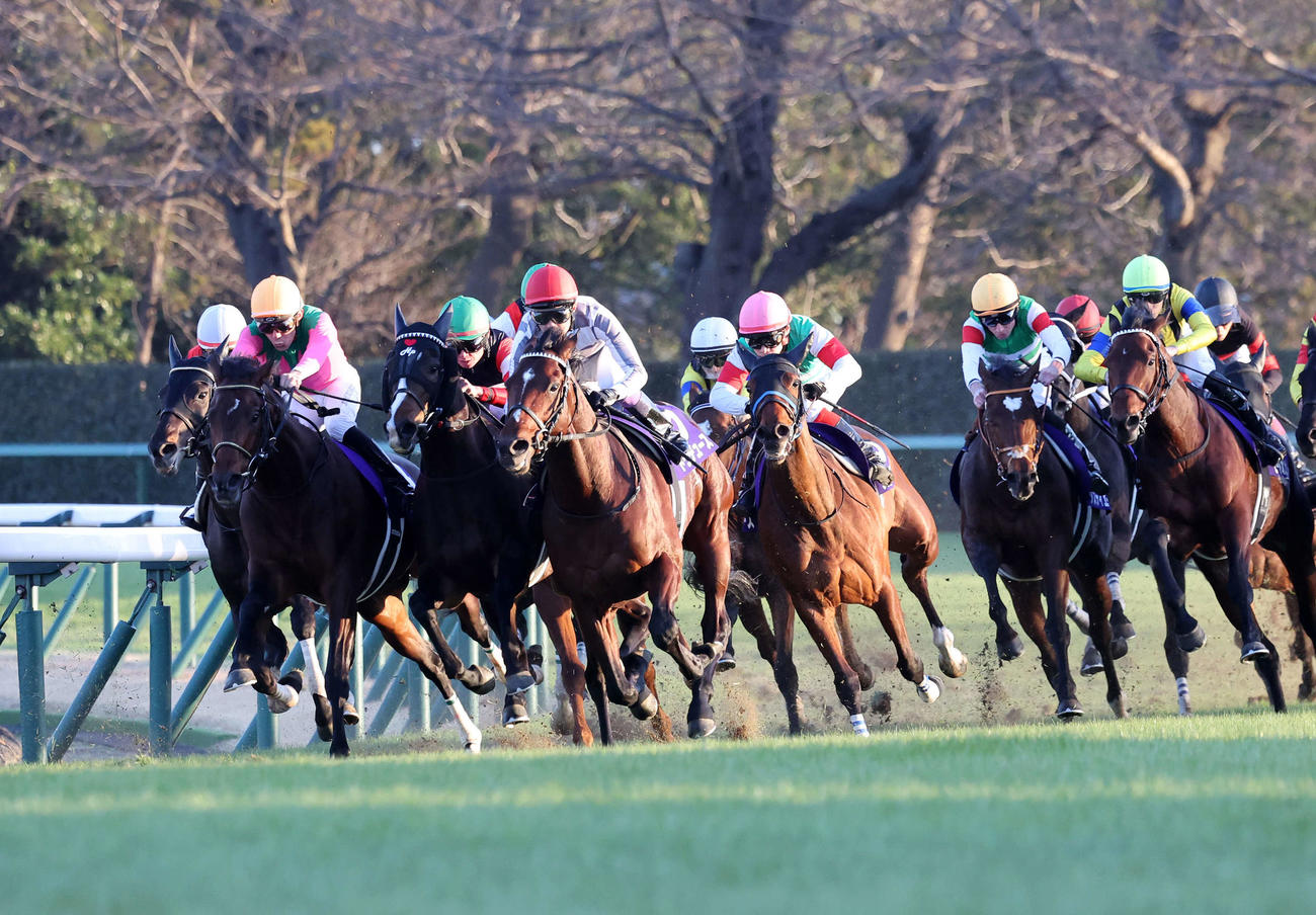 最終コーナーを駆け上がるドウデュース（左から4頭目）と武豊騎手（撮影・鈴木正人）