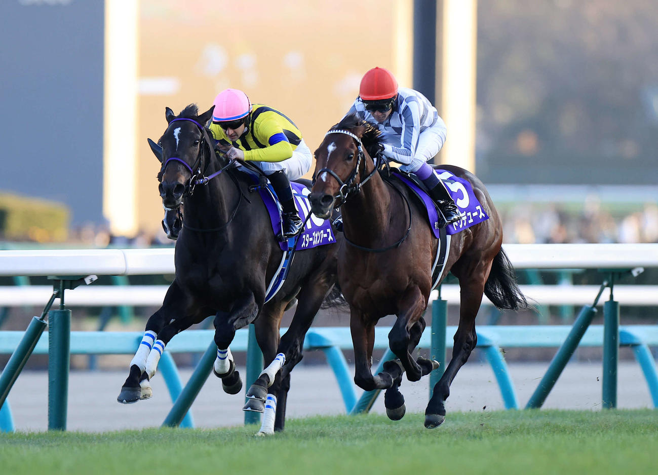 有馬記念を制したドウデュース（右）と武豊騎手と2着のスターズオンアースとルメール騎手