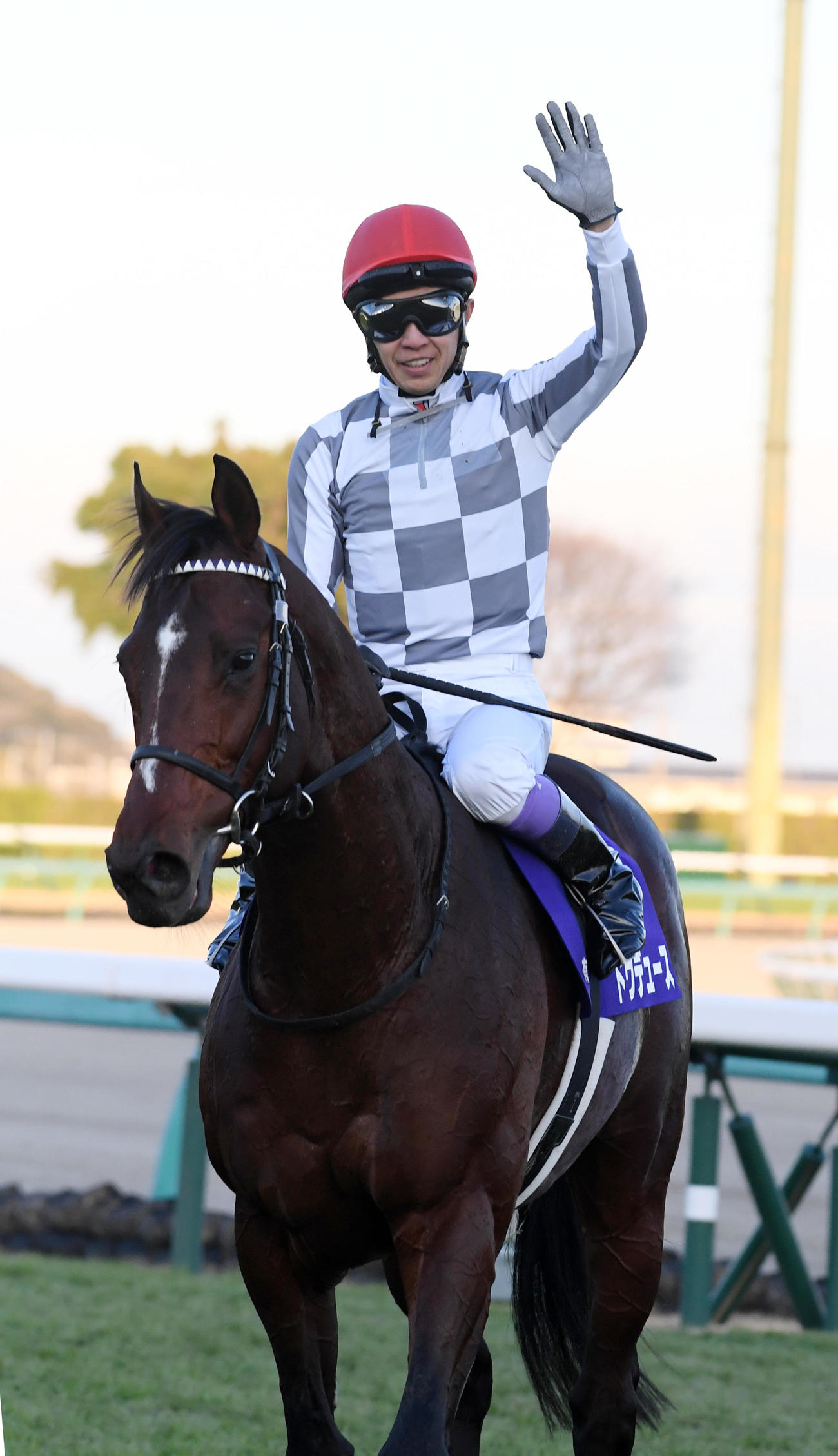 有馬記念を制したドウデュースの武豊騎手は手を振る（撮影・柴田隆二）