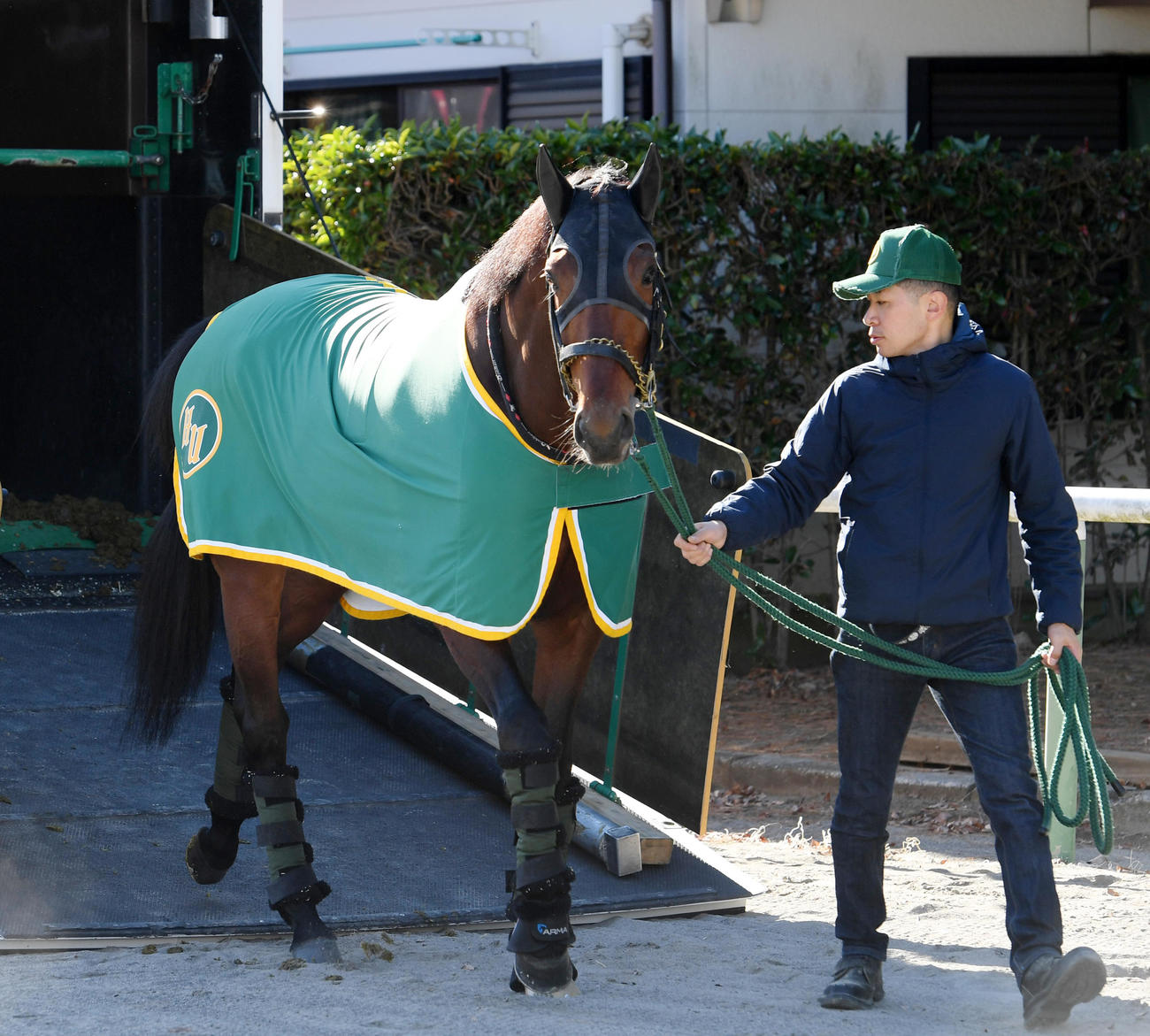 中山競馬場に到着したアイアンバローズ（撮影・柴田隆二）