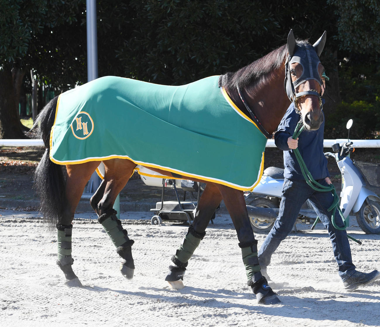 中山競馬場に到着したアイアンバローズ（撮影・柴田隆二）