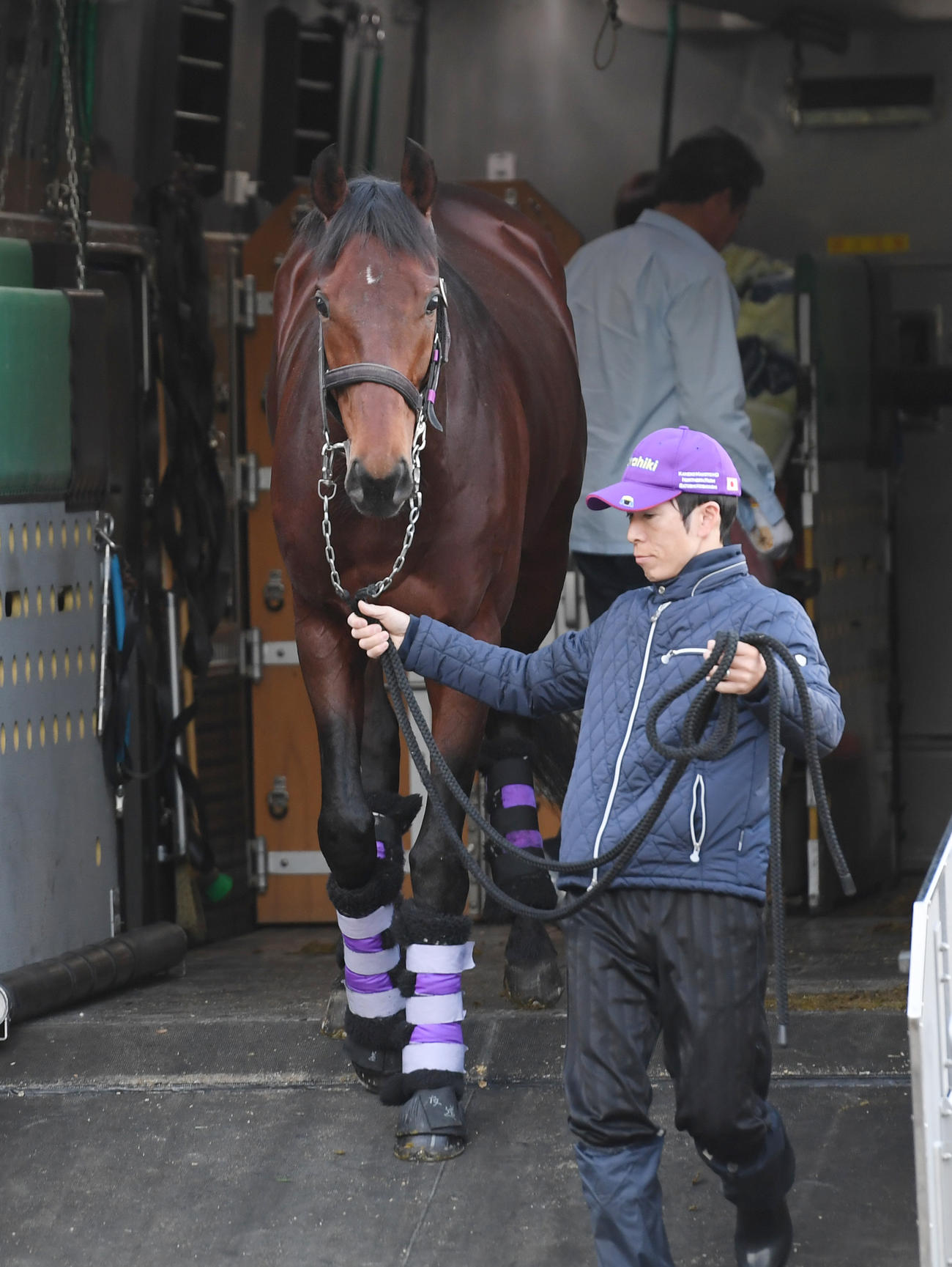 中山競馬場に到着したヒートオンビート（撮影・柴田隆二）
