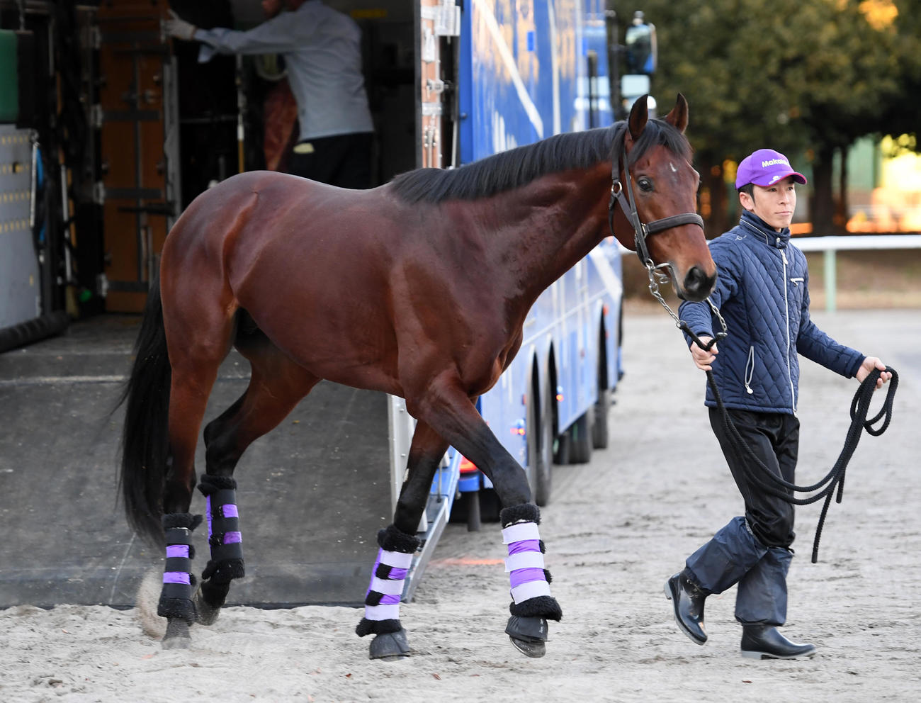 中山競馬場に到着したヒートオンビート（撮影・柴田隆二）