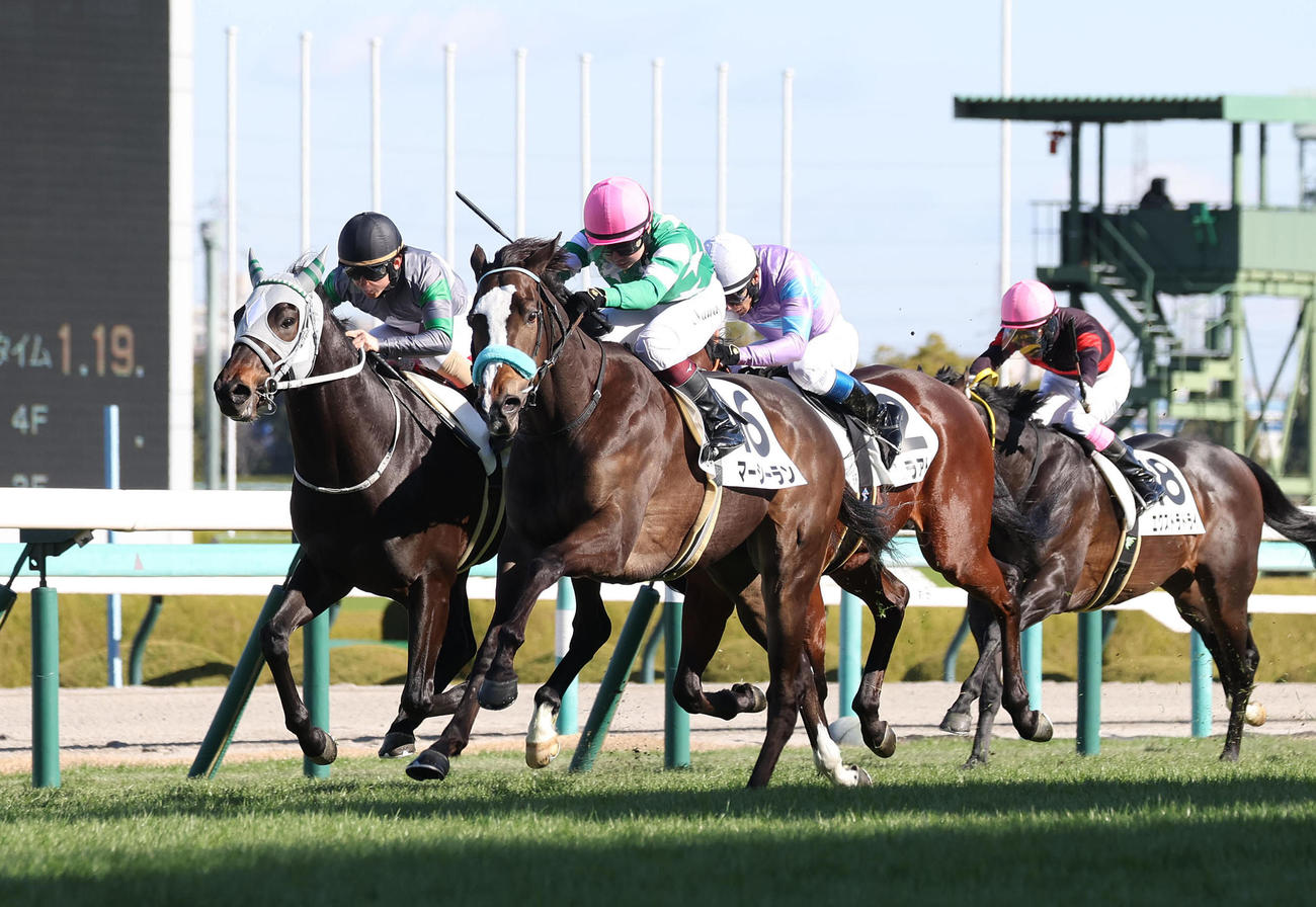 阪神6R、直線抜け出して新馬戦を制したマーシーランと河原田騎手（中央）（撮影・白石智彦）