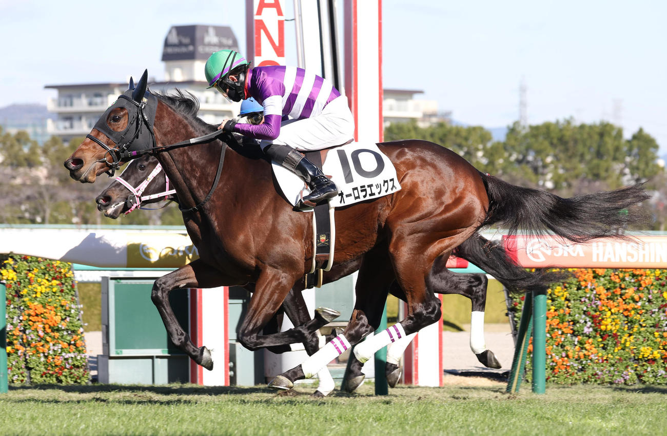阪神5R、ゴール前差し切って新馬戦を制したオーロラエックス（撮影・白石智彦）