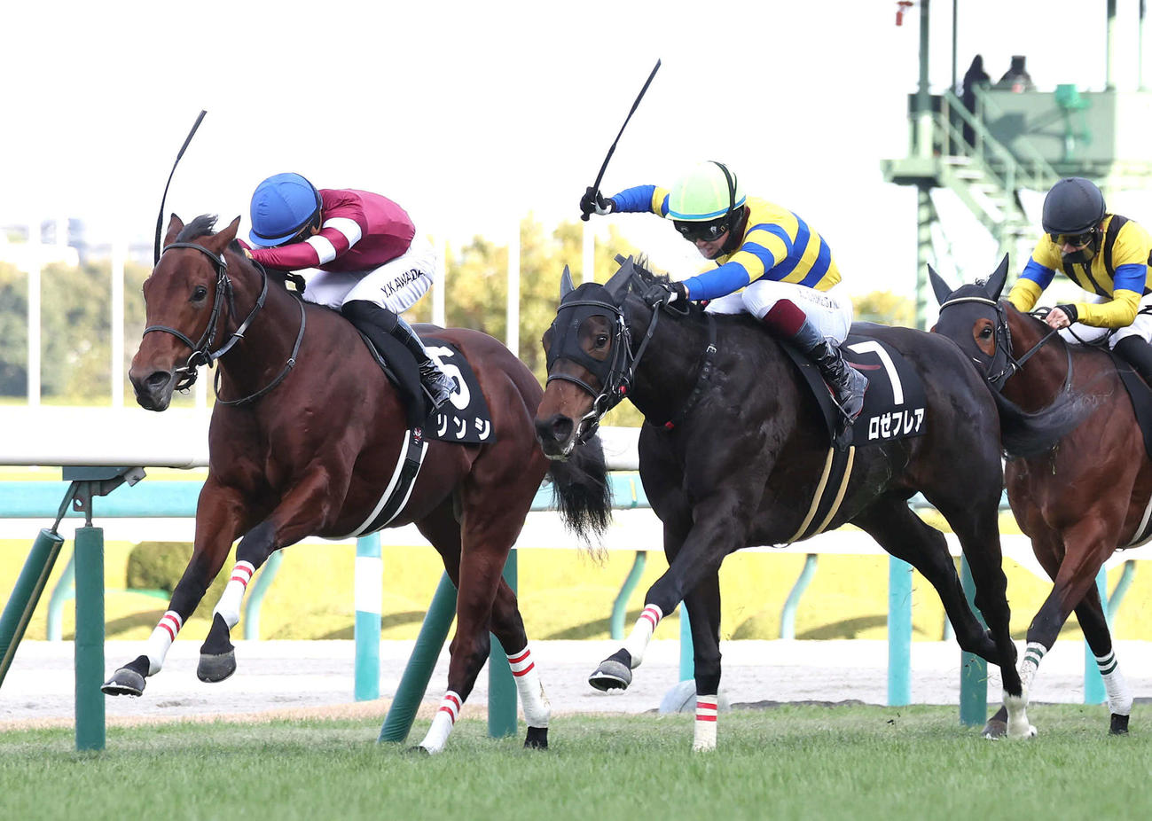 阪神9R、ロゼフレア（右）はソンシを差し切り万両賞を制する（撮影・白石智彦）