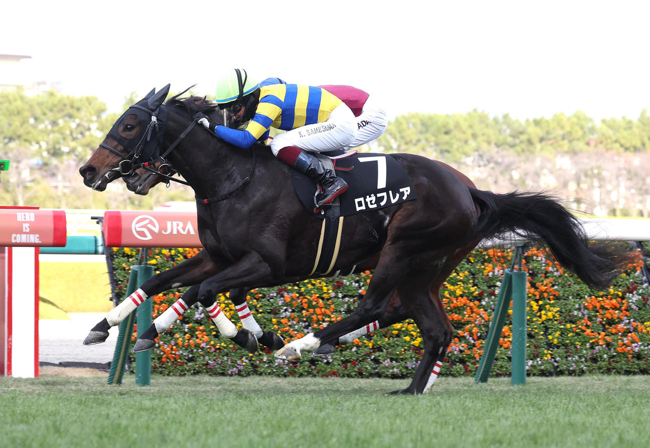 阪神9R、ソンシ（奥）を差し切って万両賞を制したロゼフレア（撮影・白石智彦）