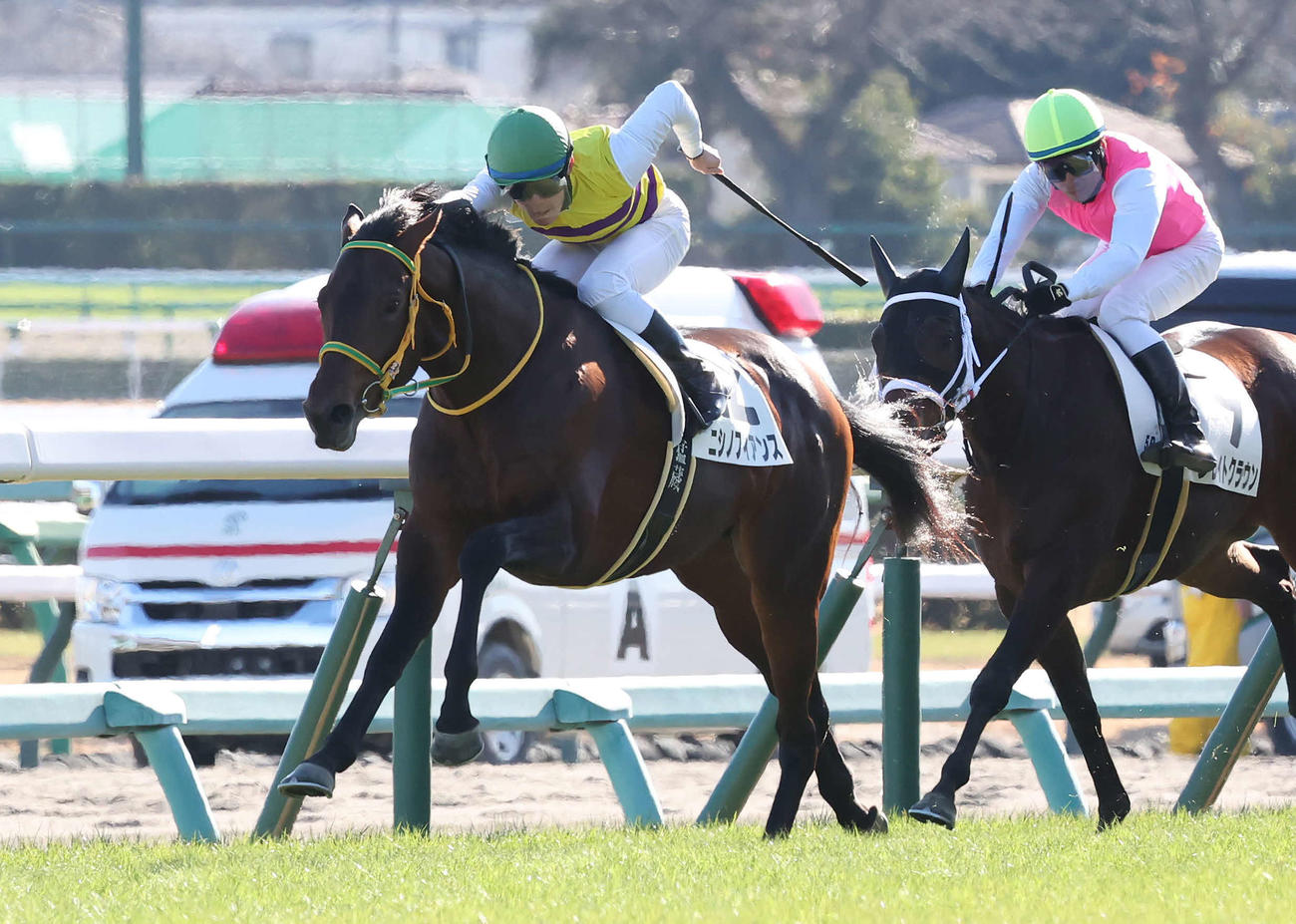 中山5R、2歳新馬戦を制したニシノフィアンスと永野騎手（撮影・丹羽敏通）