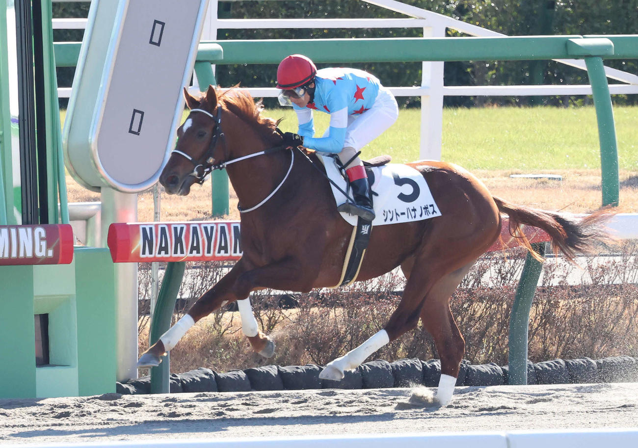 中山1R、2歳未勝利戦を制したシントーハナノボスと吉田豊騎手（撮影・丹羽敏通）