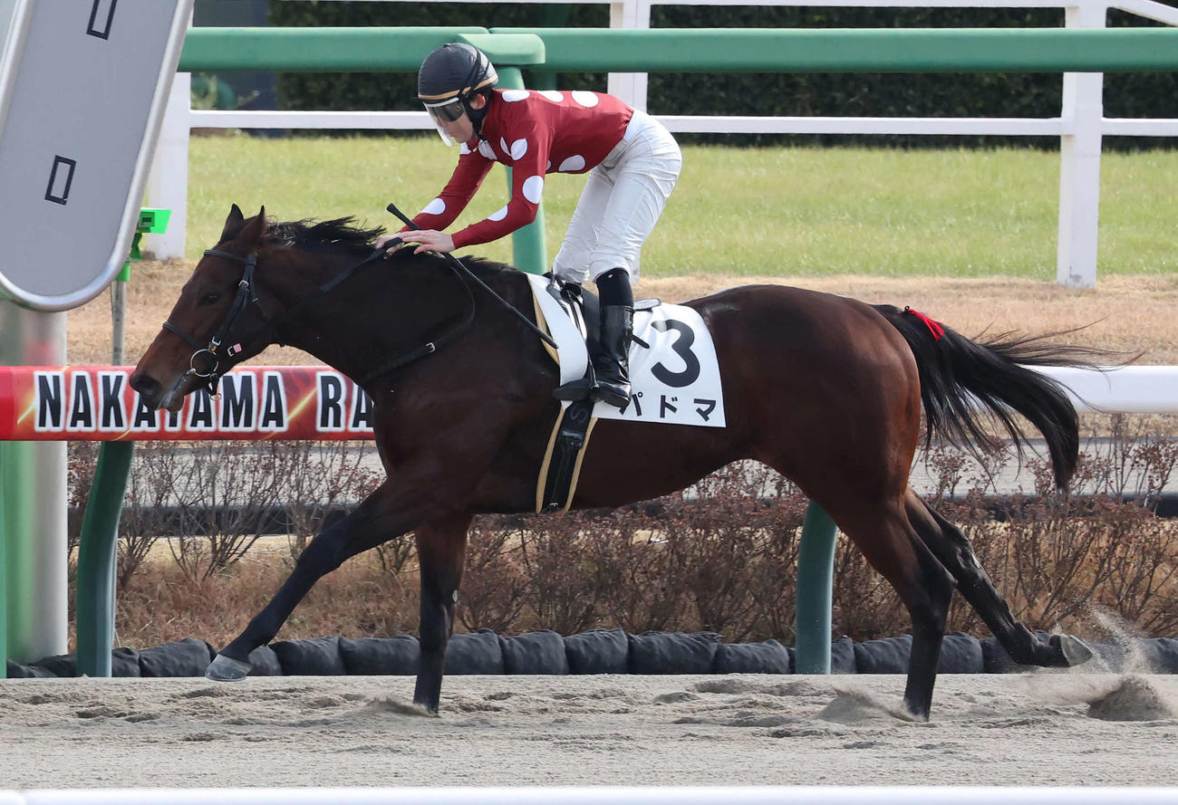 中山5R、2歳新馬戦を制したパドマと加藤騎手（撮影・丹羽敏通）