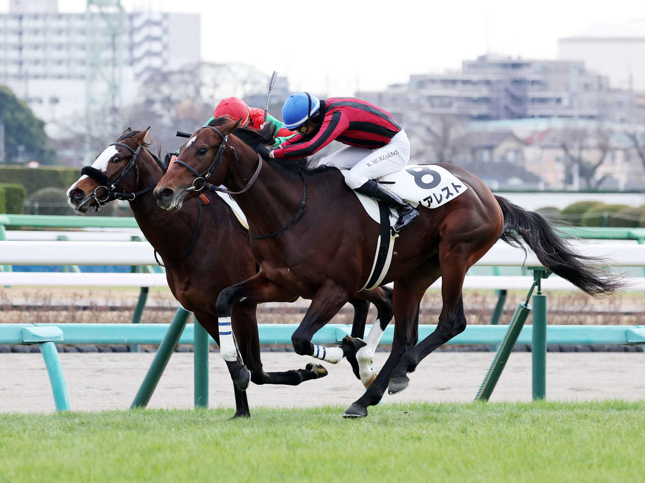 中山4R・2歳未勝利を制したリアレスト（手前）とムルザバエフ騎手（撮影・鈴木正人）