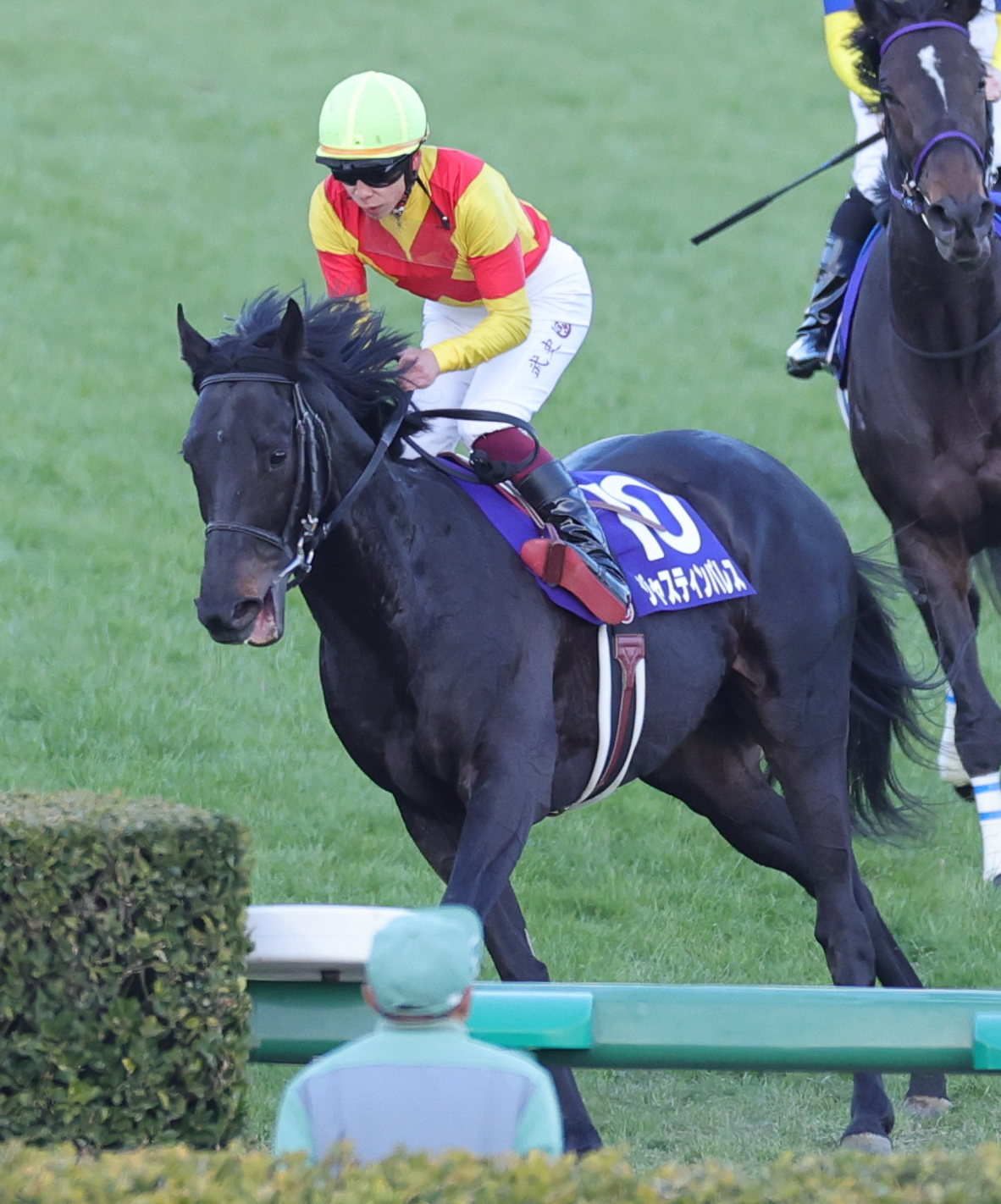 引き揚げるジャスティンパレスと横山武騎手（撮影・野上伸悟）