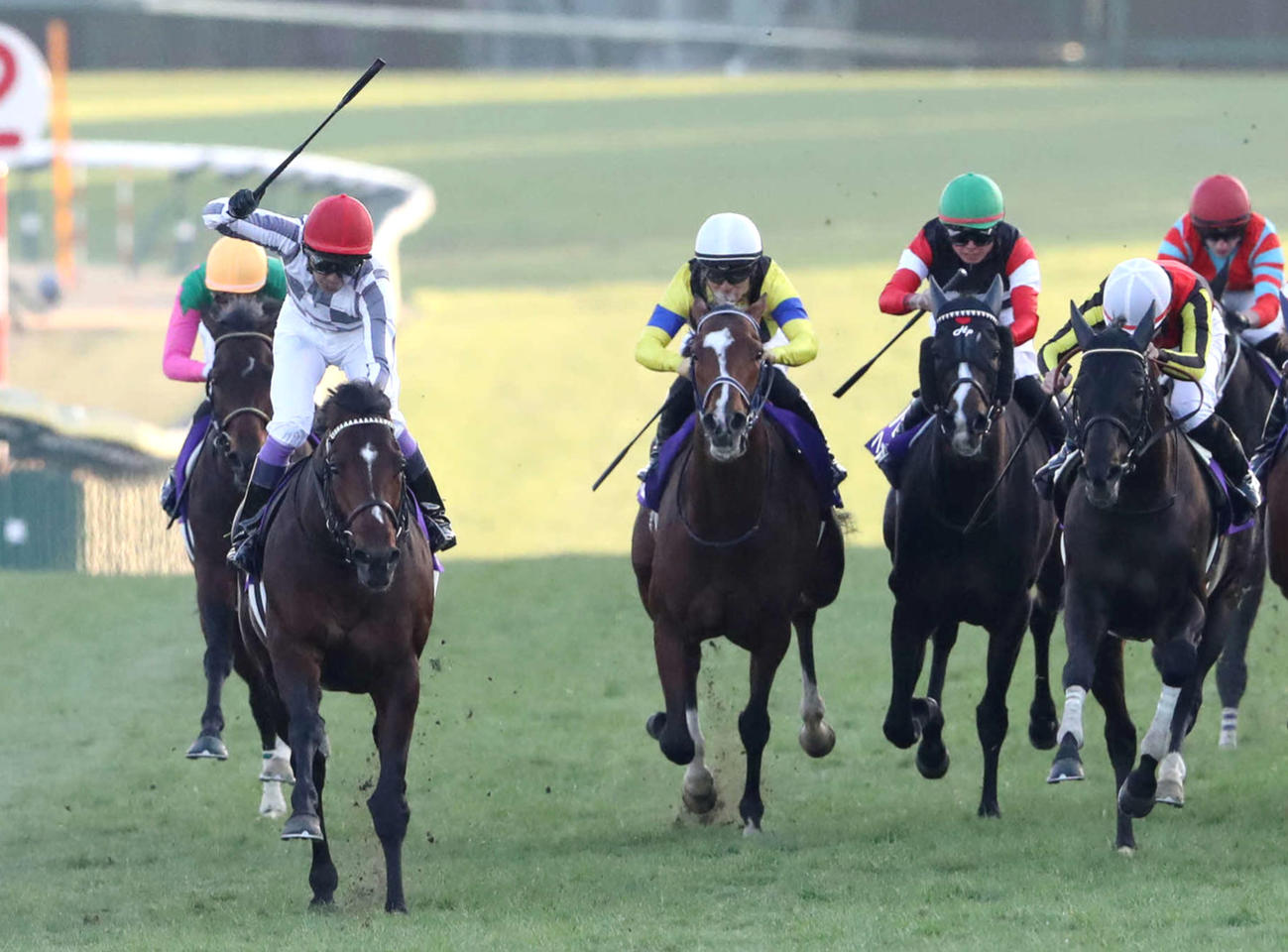 有馬記念5着のシャフリヤール（右）。左は勝ったドウデュース（撮影・丹羽敏通）