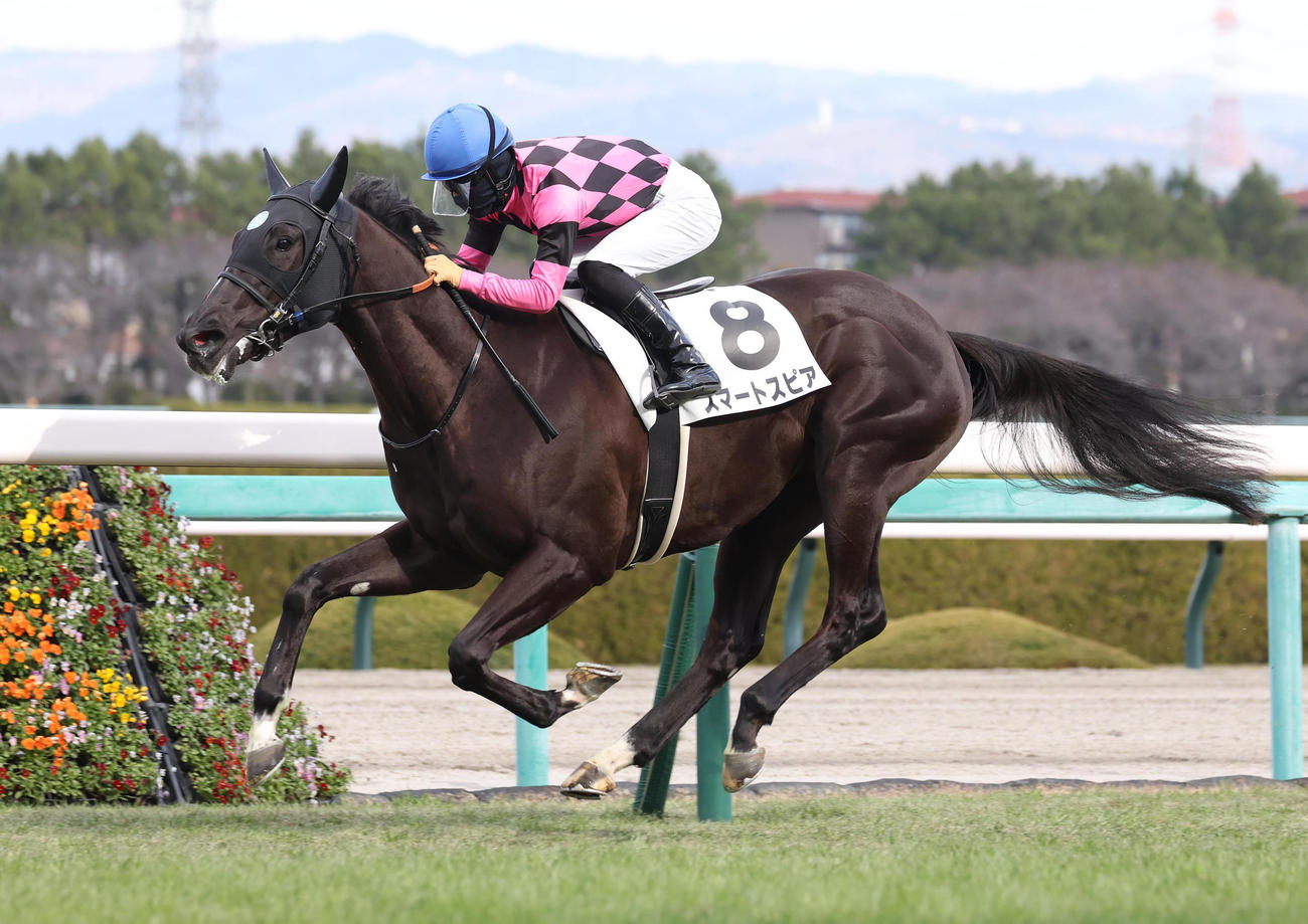阪神6R、直線抜け出して新馬戦を制したスマートスピア（撮影・白石智彦）