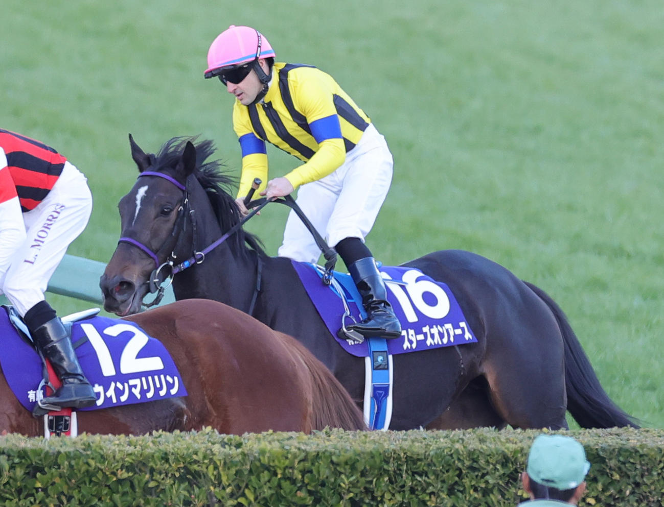 引き揚げる有馬記念2着のスターズオンアースとルメール騎手（撮影・野上伸悟）