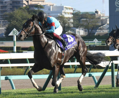 サイン入りゼッケン　競馬　ピクシーナイト母ピクシーホロウ　超レア ピクシーナイト引退 種牡馬へ 21年スプリンターズSと日刊スポーツ賞