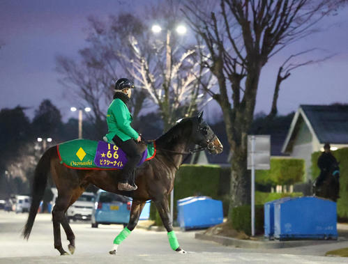 ピクシーナイト引退 種牡馬へ 21年スプリンターズSと日刊スポーツ賞