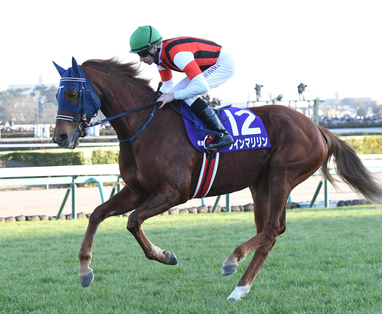 有馬記念、本馬場に入場したウインマリリン（2023年12月24日撮影）