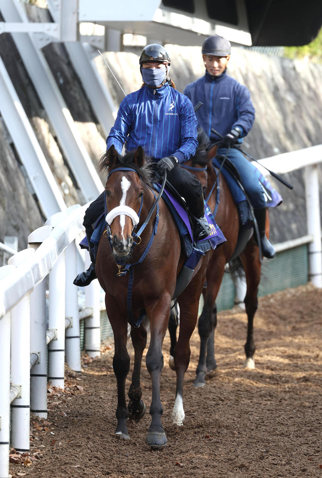 逍遥馬道で運動するディスペランツァ（2023年12月19日撮影）