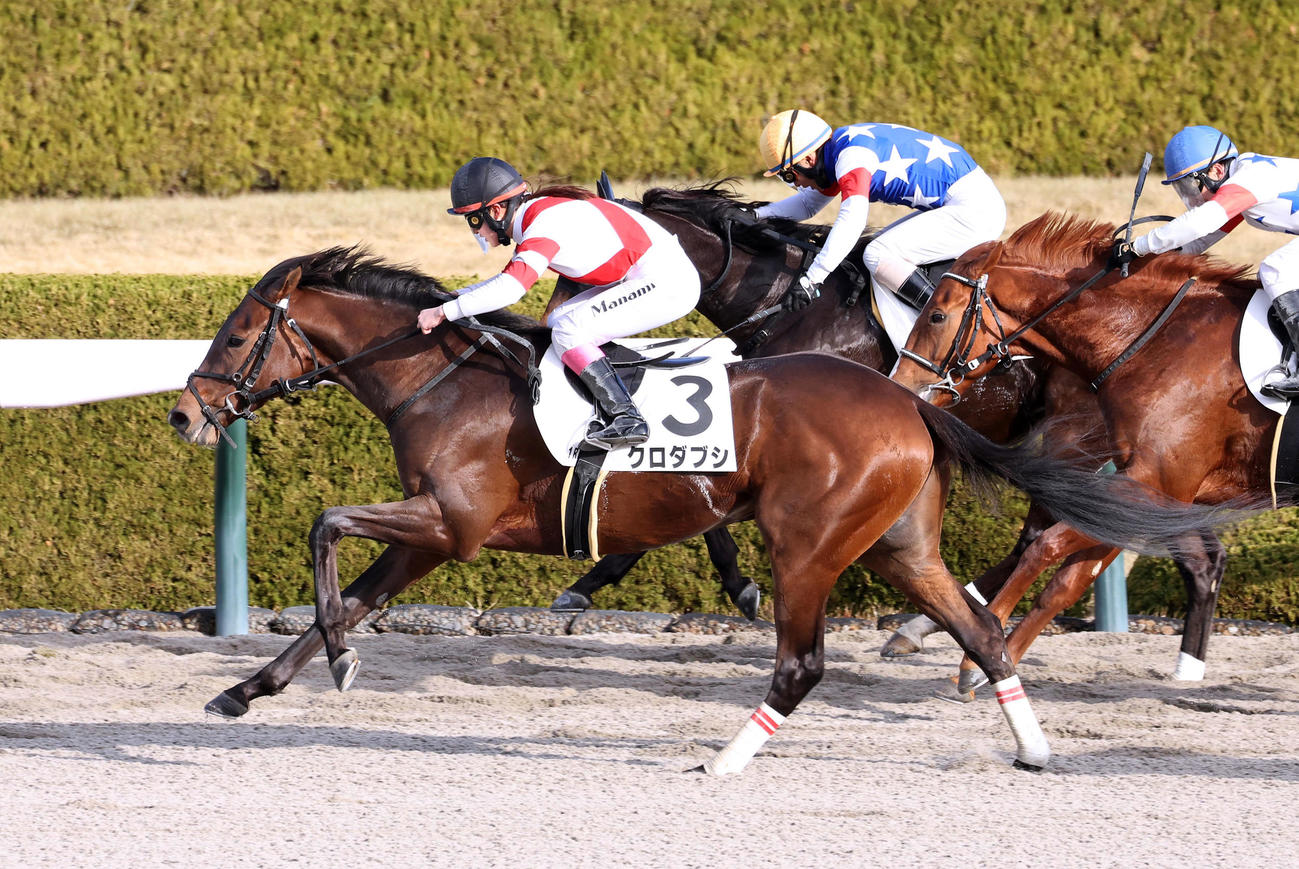 クロダブシで阪神1Rを勝利した永島騎手（撮影・白石智彦）