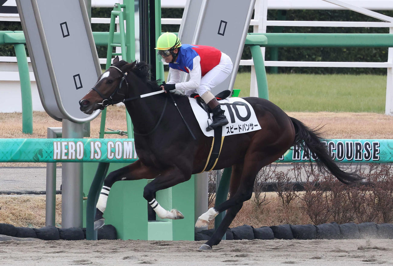 中山1R、2歳未勝利戦をスピードパンサーで制した田中勝騎手（撮影・丹羽敏通）