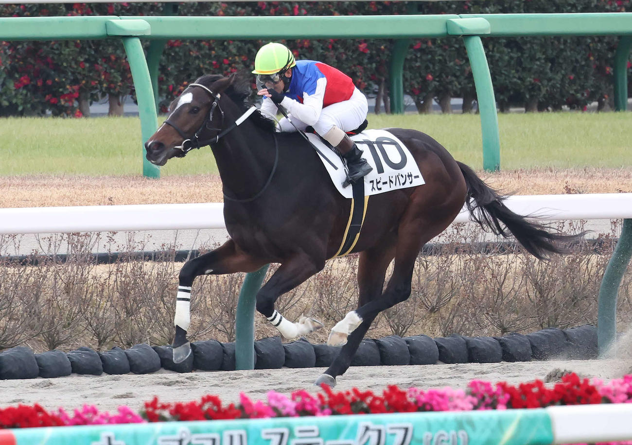 中山1R、2歳未勝利戦をスピードパンサーで制した田中勝騎手（撮影・丹羽敏通）