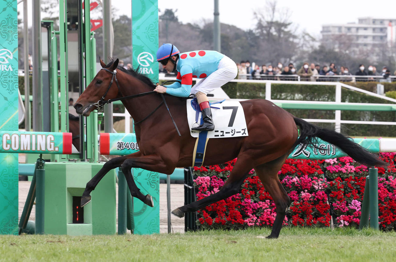 中山5R、2歳新馬戦を制したニュージーズとルメール騎手（撮影・丹羽敏通）