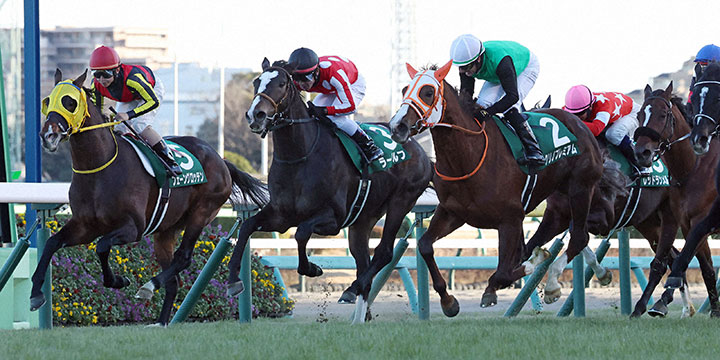 中山金杯を制したラーグルフと戸崎騎手（左から2頭目）（撮影・丹羽敏通）＝2023年1月5日、中山競馬場