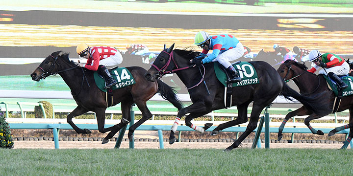 フェアリーSを制したキタウイング（左）、（撮影・柴田隆二）＝2023年1月9日、中山競馬場