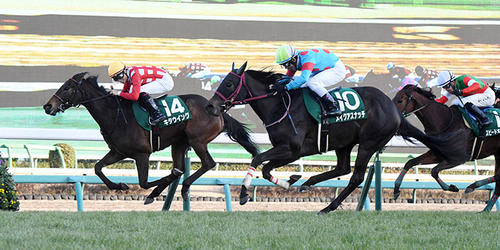 フェアリーSを制したキタウイング(左)、(撮影・柴田隆二)=2023年1月9日、中山競馬場