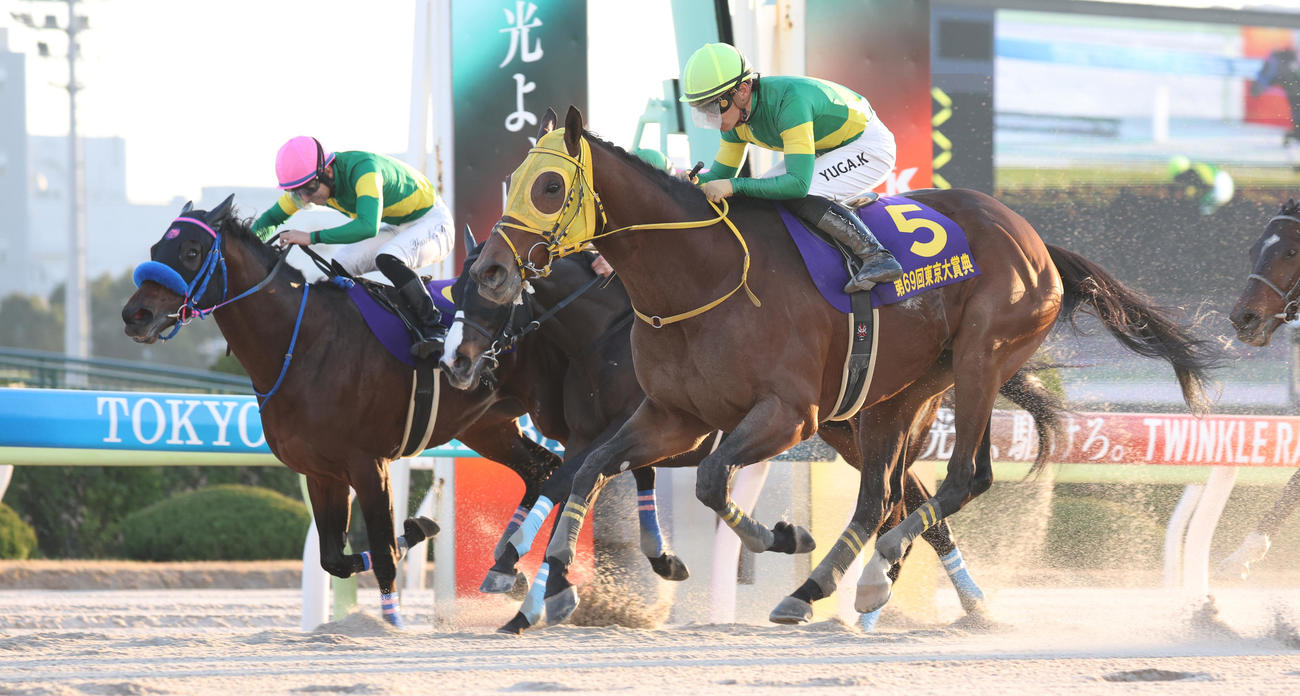 東京大賞典で優勝したウシュバテソーロと川田騎手（撮影・中島郁夫）