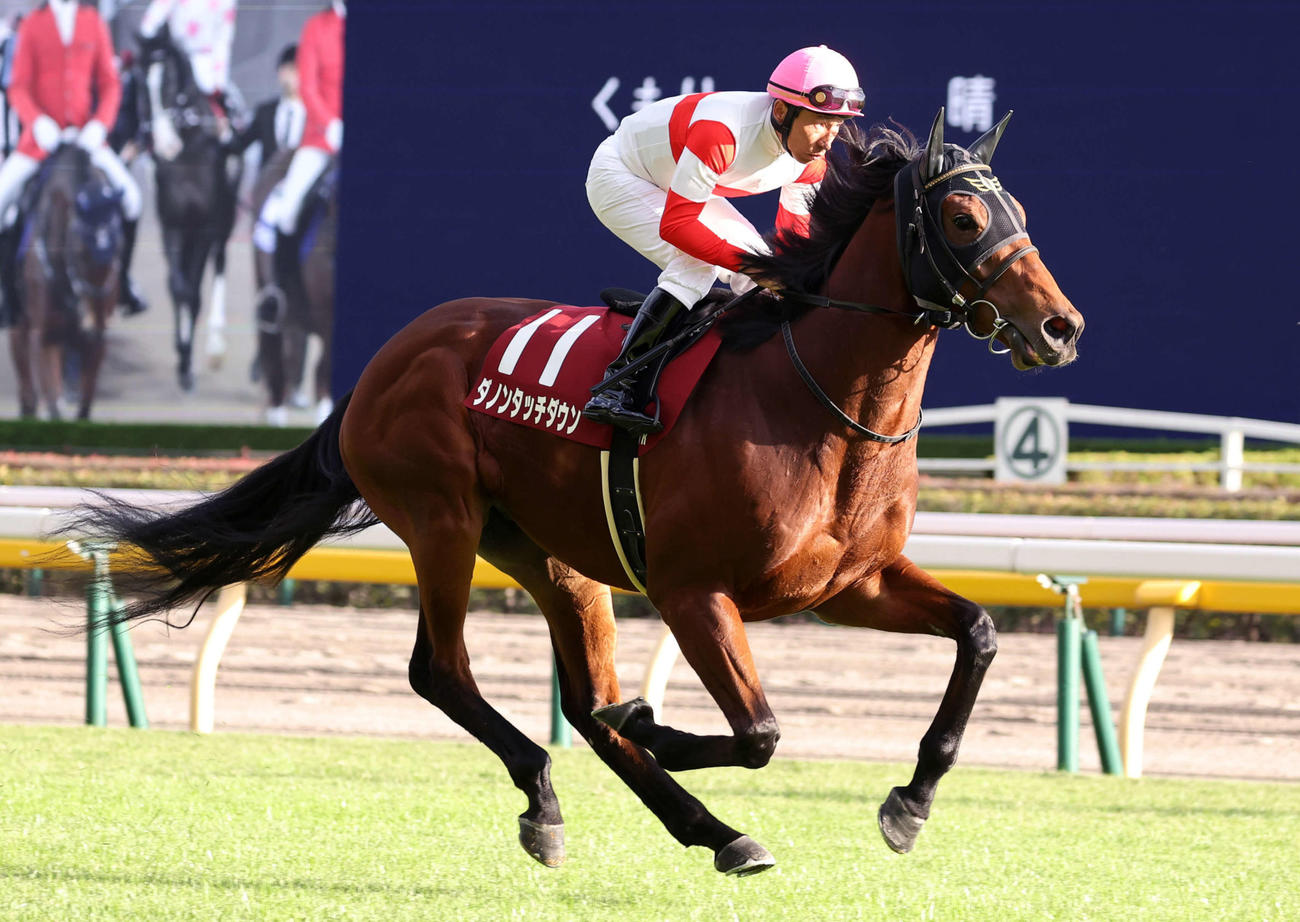 富士S11着に敗れたダノンタッチダウン