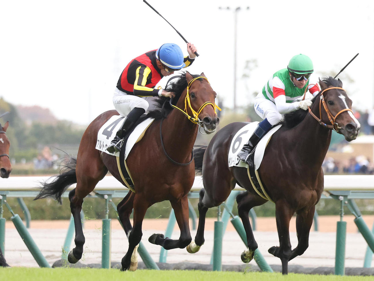 12月3日、新馬戦を勝利したアルトゥーム（左）