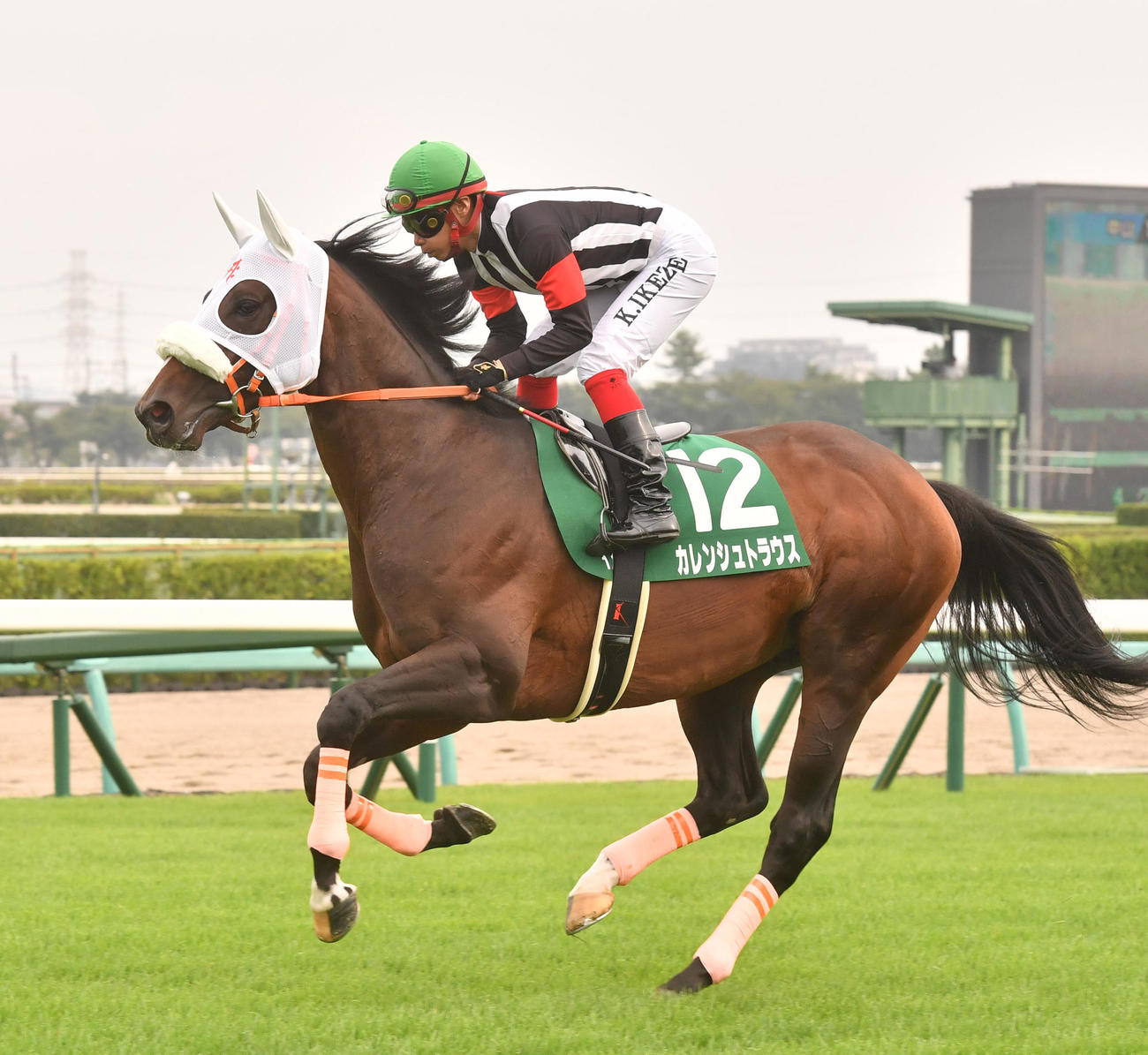 カレンシュトラウス（21年9月撮影）