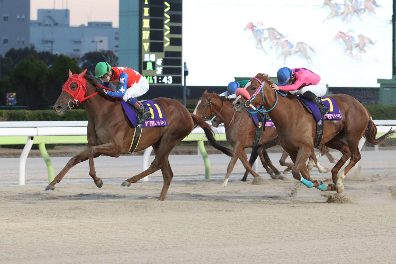 東京シンデレラマイルを連覇したスピーディキックと御神本訓史騎手（左）