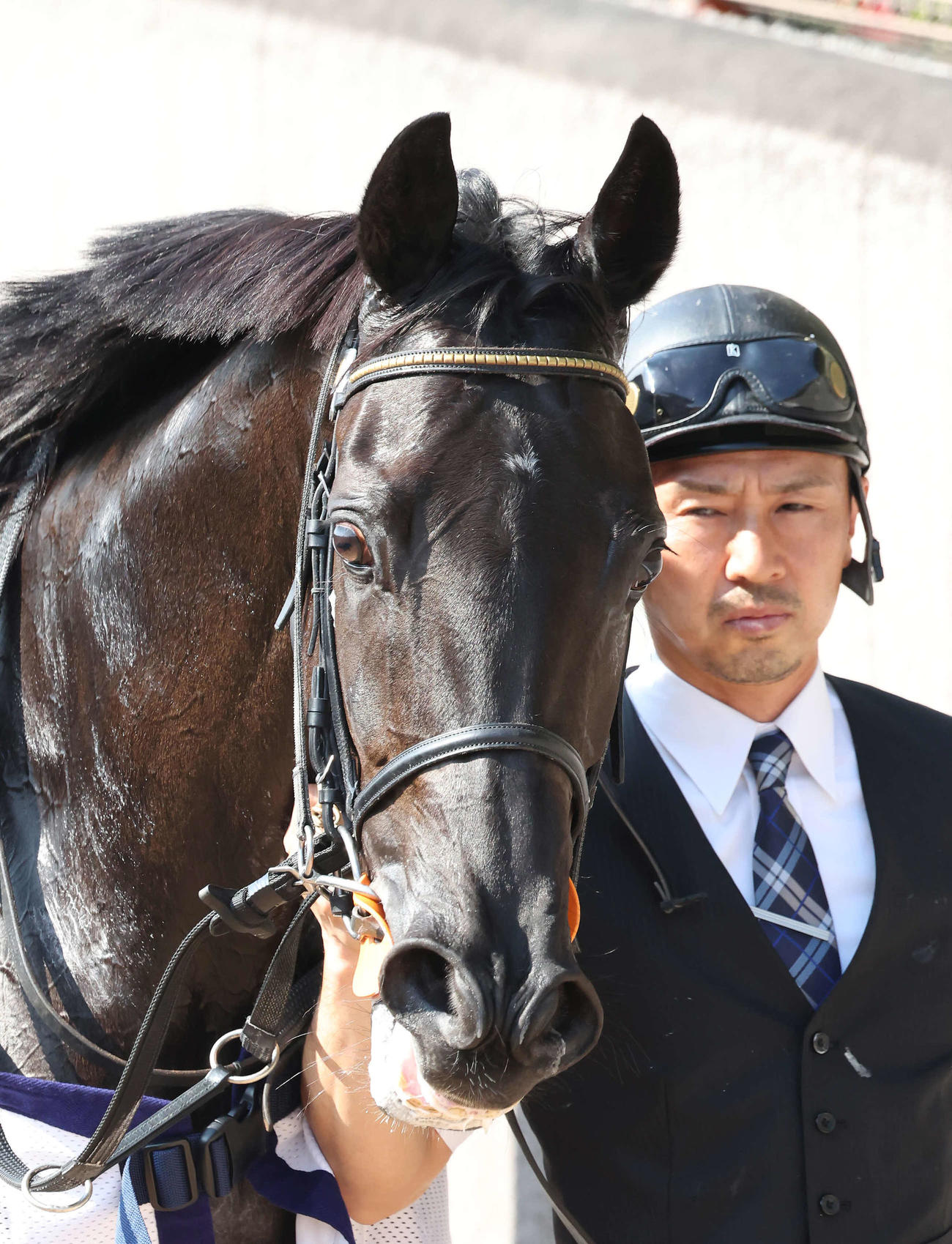 ジークルーネ（2023年10月28日撮影）