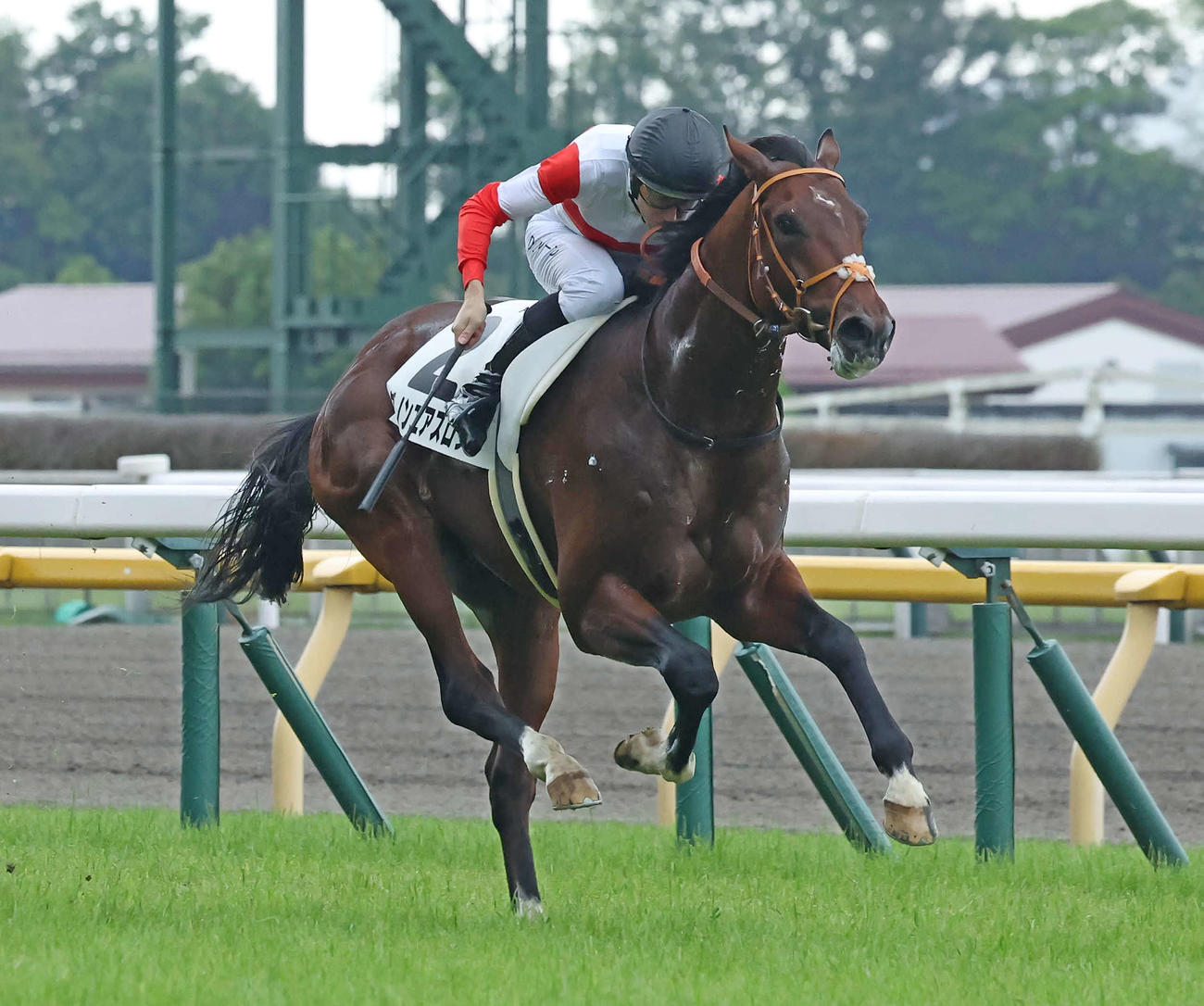 松田、久野、高木、阿部の本命候補ダノンエアズロック