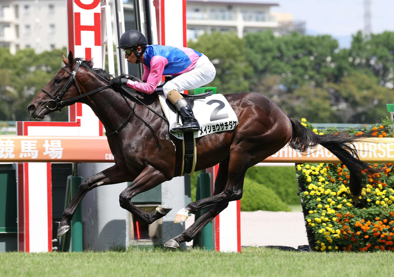 逃げ切って新馬戦を制したメイショウサチダケ（23年9月9日撮影）