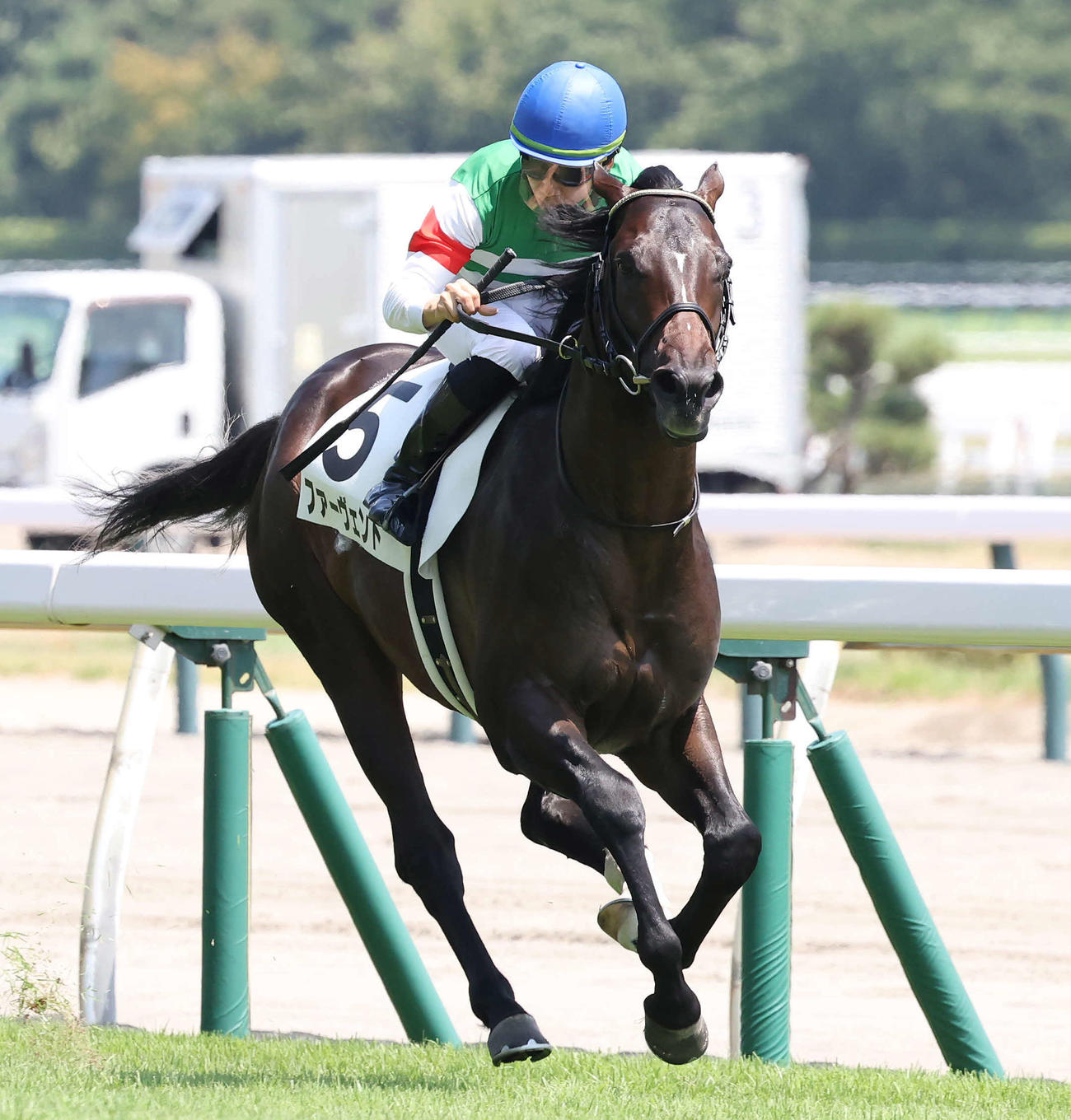 23年8月5日、2歳新馬戦を制したファーヴェント